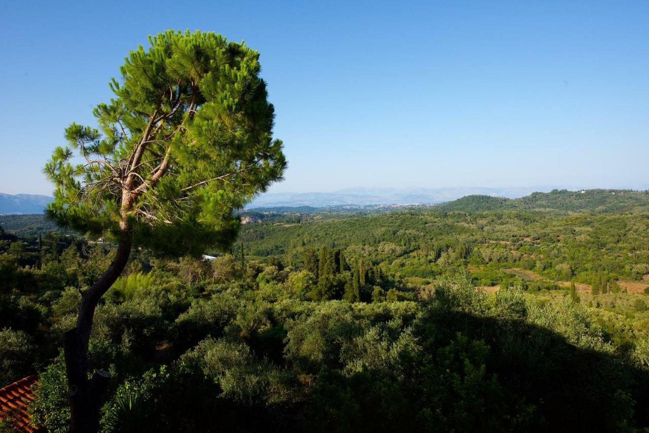 Aurora Corfu Pelekas